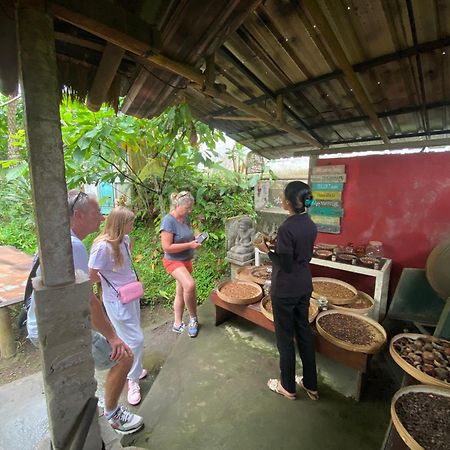 Badini Homestay Pemuteran Bali Exterior foto